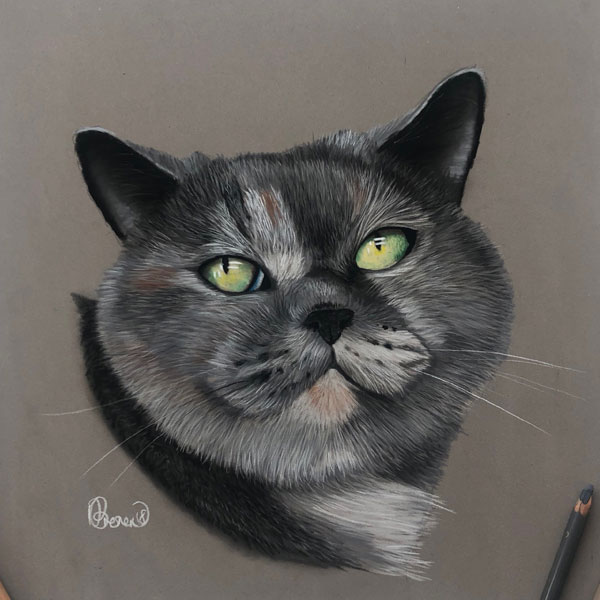 a pastel portrait of a cat called Juliette