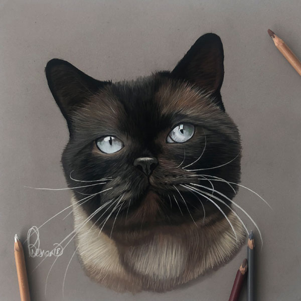 pastel portrait of a cat called Logan
